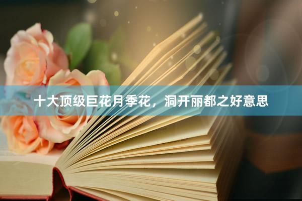 十大顶级巨花月季花，洞开丽都之好意思
