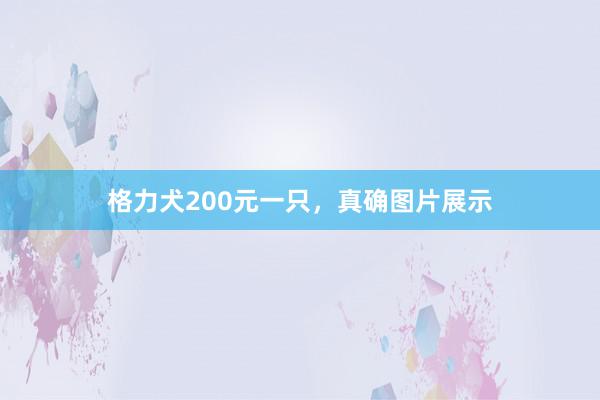 格力犬200元一只，真确图片展示